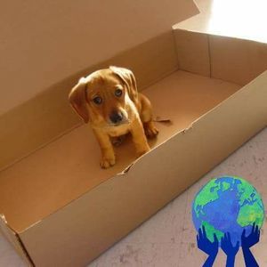 Meet your Posher, Nadia